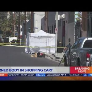 Burned body discovered in shopping cart left in Chinatown neighborhood