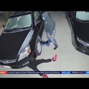 Catalytic converter thieves strike Ventura County