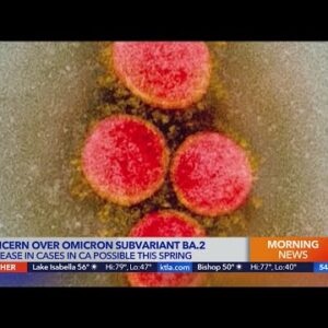 Concern grows over omicron subvariant in California