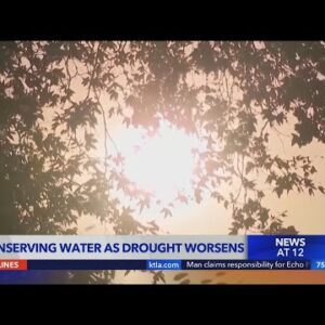 Conserve water or face cutbacks, state regulators warn