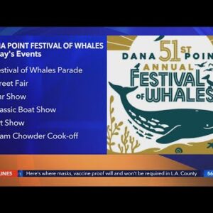 Dana Point celebrates 51st Festival of Whales