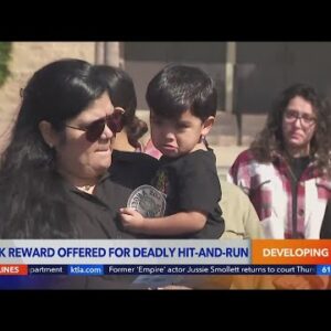 Father killed while protecting family from hit-and-run driver
