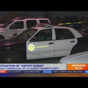 Investigation into 'deputy gangs'