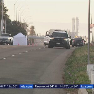 Motorcyclist killed in crash in Playa Del Rey