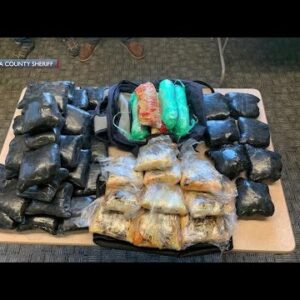 Deputies arrest seven suspects after months-long investigation, seize about $230,000 worth of ...