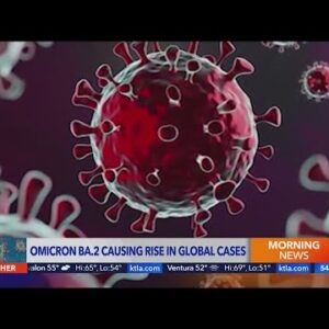 Omicron variant BA.2 causing rise in global cases