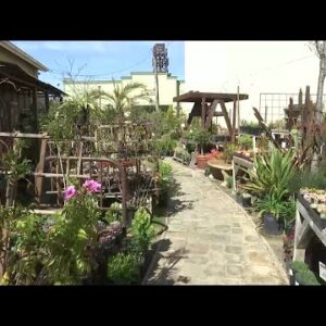 Orcutt gardeners hope for rain amidst drought