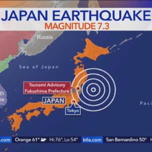 Powerful 7.3 magnitude earthquake strikes Japan