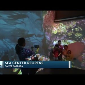 Stearns Wharf Sea Center ends first week back open after six month closure