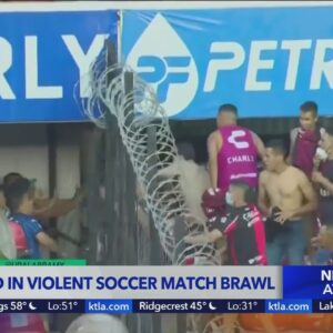 Soccer riot leaves more than 20 hurt