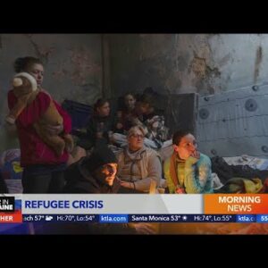 Ukrainian refugee crisis