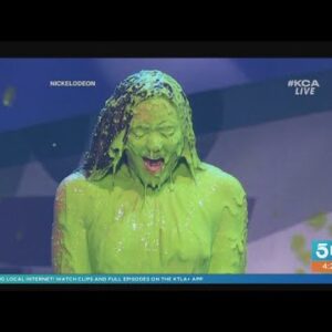 Who are these slimed celebs?