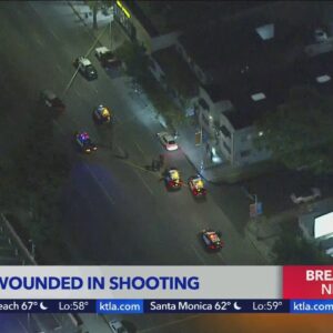 Woman shot multiple times in South L.A.