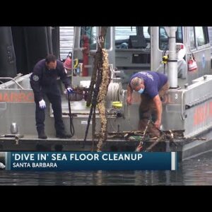 Santa Barbara’s “Dive In” seafloor debris cleanup program planned for first week of May