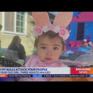 1-year-old recovering from pit bull attack in Pico Rivera