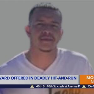 $10K reward offered in deadly Long Beach hit-and-run