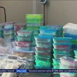 2 arrested, charged in major fentanyl bust