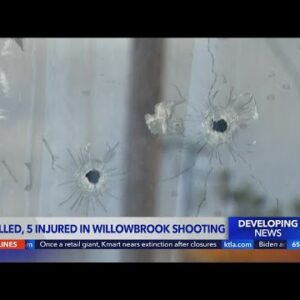 2 killed, 5 injured in Willowbrook shooting