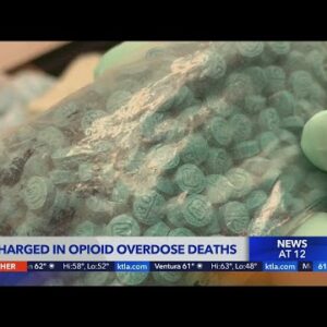 7 charged in opioid overdose deaths