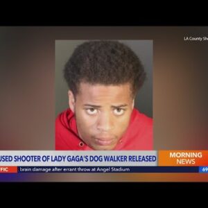 Accused shooter of Lady Gaga's dog walker released