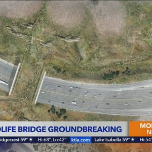 Construction to begin on major wildlife crossing over 101 Freeway