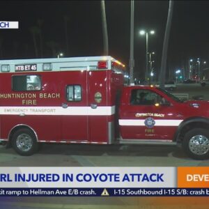 Coyote attacks girl in Huntington Beach: Police