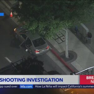 Family's vehicle struck by gunfire on 110 Freeway downtown