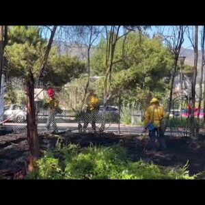 Firefighters contain vegetation fire near Santa Barbara Zoo