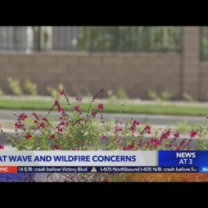 Heat wave and wildfire concerns