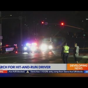 Hit-and-run driver ditches car after fatal crash