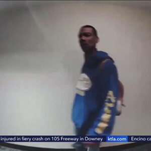 Hollywood apartment complex struck by serial burglar