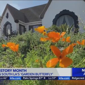 March is Women's History Month : Garden Butterfly Brandy Williams