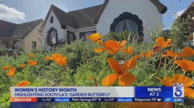 March is Women's History Month : Garden Butterfly Brandy Williams