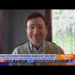 Online car marketplace Rodo promises same-day vehicle delivery