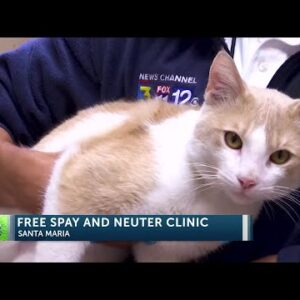 Santa Barbara Humane offers free spay and neuter services for cats in Santa Maria