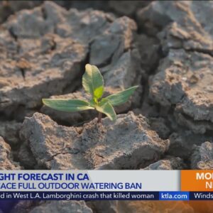 Some cities face full outdoor watering ban