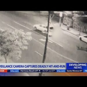 Surveillance camera captures deadly hit-and-run