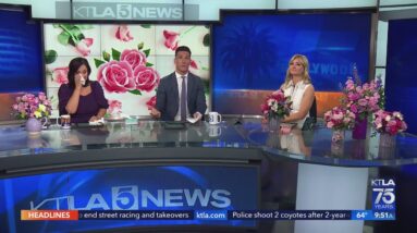 Teleflora flowers help celebrate KTLA moms Lynette and Dayna