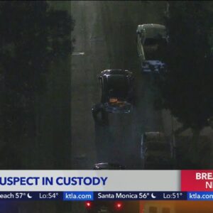 Wild pursuit goes from Glendale to South L.A.