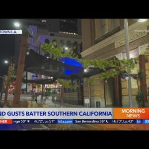 Wind gusts batter Southern California