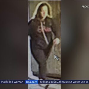 Woman sought in string of Arcadia burglaries