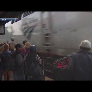 Amtrak Pacific Surfliner Trains to commence carry-on pet program