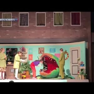 Miranda Sings appears on stage during Little Shop of Horrors at San Marcos High in Santa ...