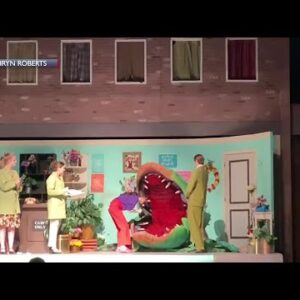Miranda Sings appears on stage during Little Shop of Horrors at San Marcos High in Santa ...