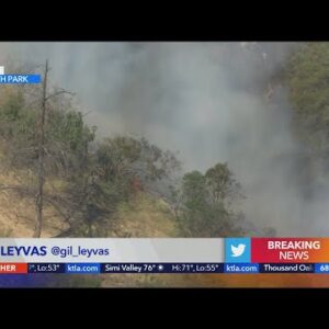 Brush fire burns near Griffith Observatory