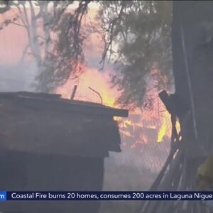 Brush fire threatened homes in San Pedro