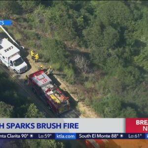 Car crash sparks brush fire