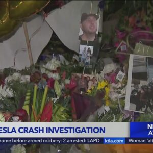 Driver in deadly Tesla autopilot crash to stand trial