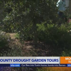 Drought resilient gardens highlighted during Orange County tour