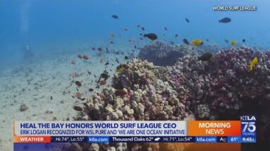 Heal the Bay to honor World Surf League's environmental efforts